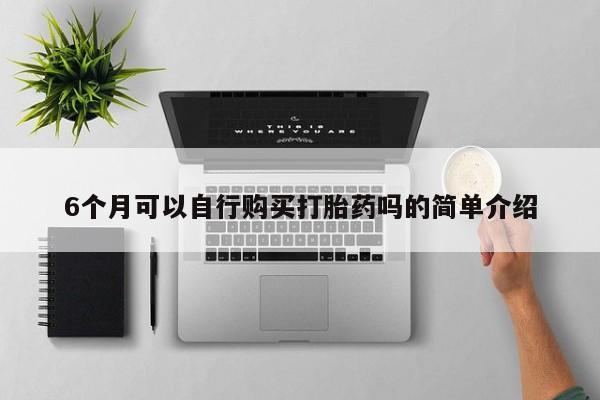 私人卖打胎药的微信6个月可以自行购买打胎药吗的简单介绍